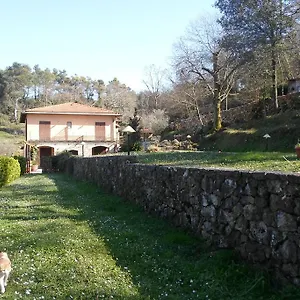 I Lecci Lerici